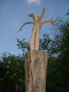 tänzerin - wildholzskulptur
