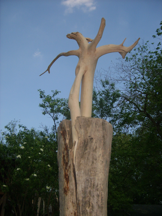 tänzerin - wildholzskulptur