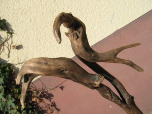 ich habe mich entschlossen - wildholzskulptur